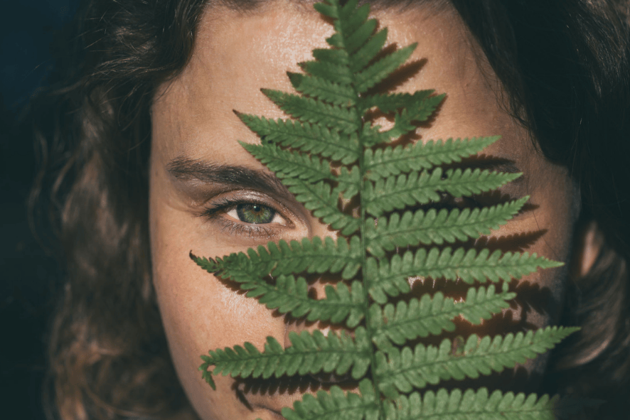 Andrea Schnyder Re:Alignment Essenz Rückverbindung Wahrheit Energie Verbindung Natürlichkeit Codes Echt Leistungsdruck